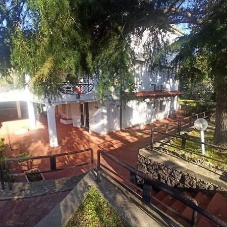 Villa Lia - Ischia Porto エクステリア 写真