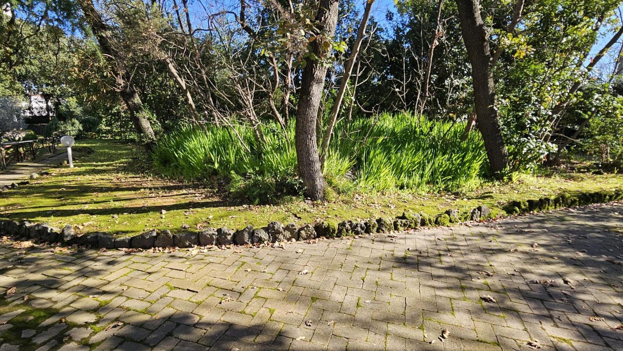 Villa Lia - Ischia Porto エクステリア 写真