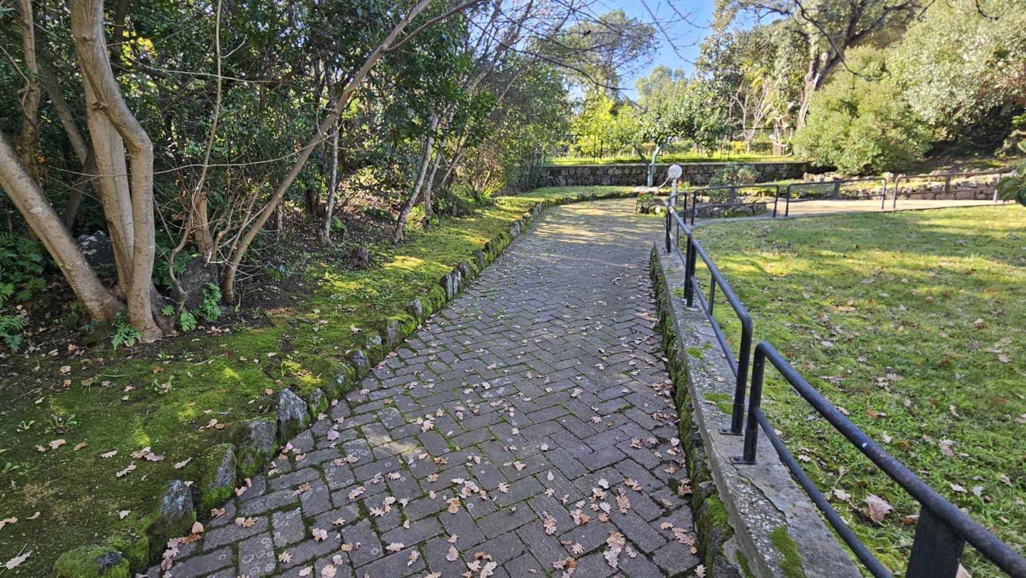 Villa Lia - Ischia Porto エクステリア 写真
